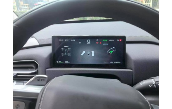 Leopard 3 Ultra, пробіг 12,6 тисяч км